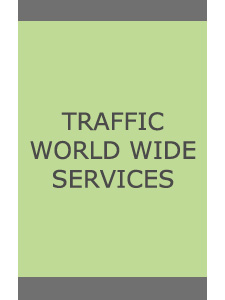 Web Traffic Services